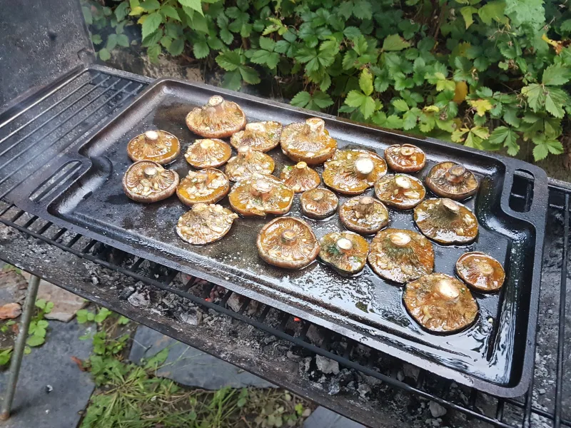 Rovellons a la brasa con ajo y perejil: sabor de temporada
